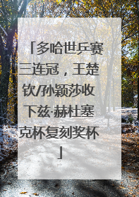 多哈世乒赛三连冠，王楚钦/孙颖莎收下兹·赫杜塞克杯复刻奖杯