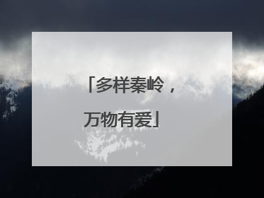 多样秦岭，万物有爱