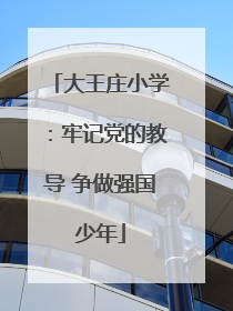 大王庄小学：牢记党的教导 争做强国少年