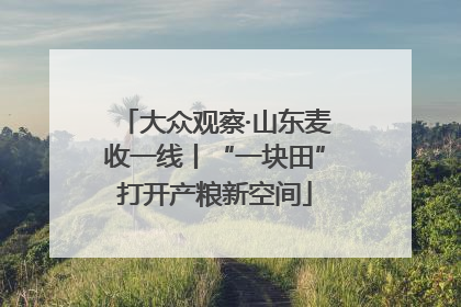 大众观察·山东麦收一线丨“一块田”打开产粮新空间