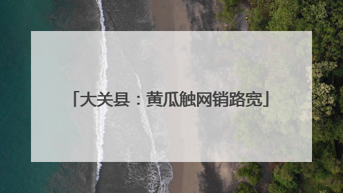 大关县：黄瓜触网销路宽