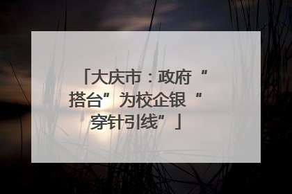 大庆市：政府“搭台”为校企银“穿针引线”