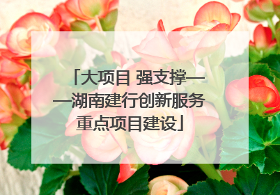 大项目 强支撑——湖南建行创新服务重点项目建设