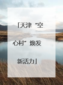 天津“空心村”焕发新活力