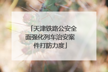 天津铁路公安全面强化列车治安案件打防力度