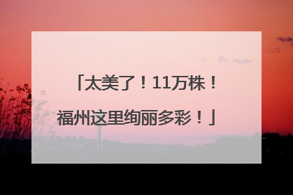 太美了！11万株！福州这里绚丽多彩！
