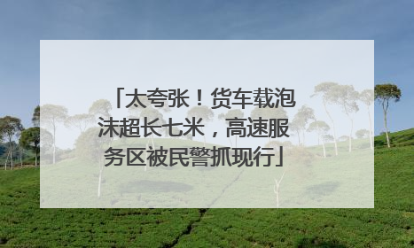 太夸张！货车载泡沫超长七米，高速服务区被民警抓现行