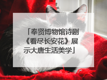 奉贤博物馆诗剧《看尽长安花》展示大唐生活美学