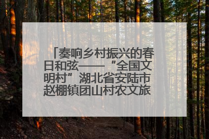 奏响乡村振兴的春日和弦——“全国文明村”湖北省安陆市赵棚镇团山村农文旅融合发展见闻