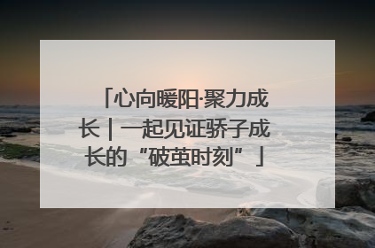 心向暖阳·聚力成长｜一起见证骄子成长的“破茧时刻”