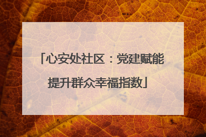 心安处社区：党建赋能 提升群众幸福指数