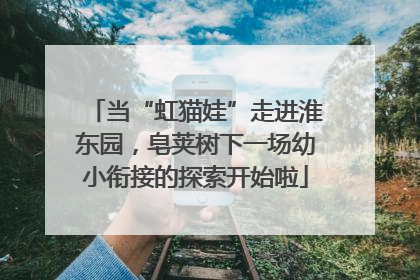 当“虹猫娃”走进淮东园，皂荚树下一场幼小衔接的探索开始啦