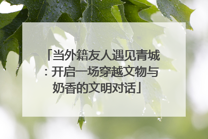 当外籍友人遇见青城：开启一场穿越文物与奶香的文明对话