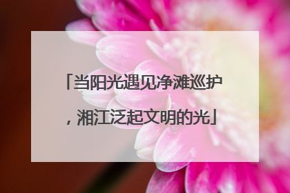 当阳光遇见净滩巡护，湘江泛起文明的光