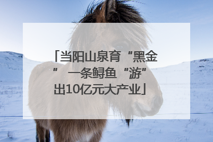 当阳山泉育“黑金” 一条鲟鱼“游”出10亿元大产业