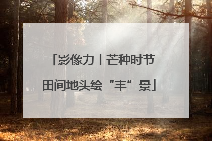 影像力丨芒种时节 田间地头绘“丰”景