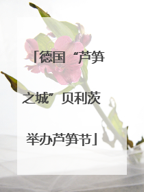 德国“芦笋之城”贝利茨举办芦笋节