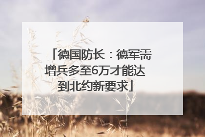 德国防长：德军需增兵多至6万才能达到北约新要求
