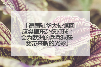 德国驻华大使馆回应樊振东赴德打球：会为欧洲的乒乓球联赛带来新的光彩