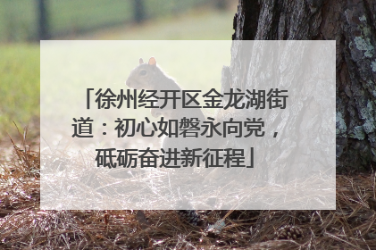 徐州经开区金龙湖街道：初心如磐永向党，砥砺奋进新征程
