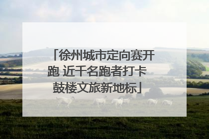 徐州城市定向赛开跑 近千名跑者打卡鼓楼文旅新地标