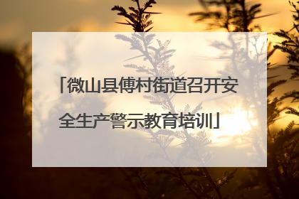 微山县傅村街道召开安全生产警示教育培训