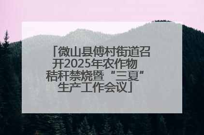 微山县傅村街道召开2025年农作物秸秆禁烧暨“三夏”生产工作会议
