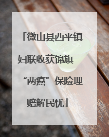 微山县西平镇妇联收获锦旗 “两癌”保险理赔解民忧