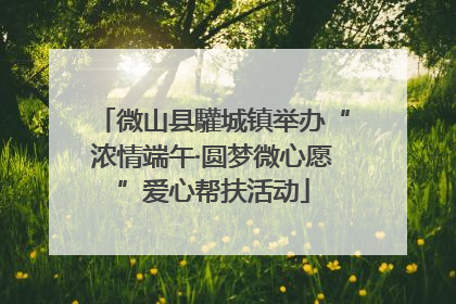 微山县驩城镇举办“浓情端午·圆梦微心愿”爱心帮扶活动
