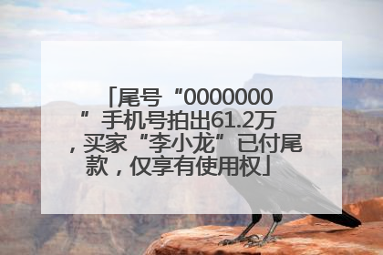尾号“0000000”手机号拍出61.2万，买家“李小龙”已付尾款，仅享有使用权
