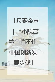 尺素金声｜“小院高墙”挡不住中国创新发展步伐