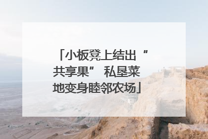 小板凳上结出“共享果” 私垦菜地变身睦邻农场