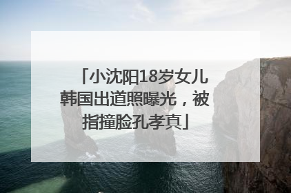 小沈阳18岁女儿韩国出道照曝光，被指撞脸孔孝真