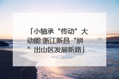 小轴承“传动”大动能 浙江新昌“拼”出山区发展新路