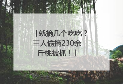 就摘几个吃吃？三人偷摘230余斤桃被抓！