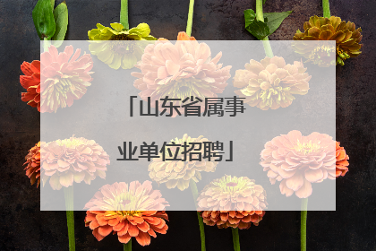 山东省属事业单位招聘