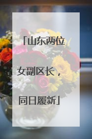 山东两位女副区长，同日履新