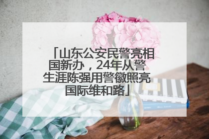 山东公安民警亮相国新办，24年从警生涯陈强用警徽照亮国际维和路