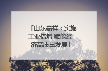 山东嘉祥：实施工业倍增 赋能经济高质量发展