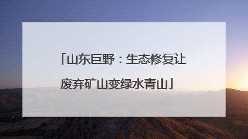 山东巨野：生态修复让废弃矿山变绿水青山