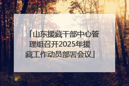山东援藏干部中心管理组召开2025年援藏工作动员部署会议