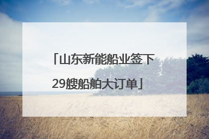 山东新能船业签下29艘船舶大订单
