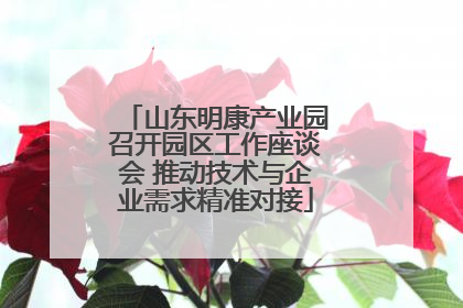山东明康产业园召开园区工作座谈会 推动技术与企业需求精准对接