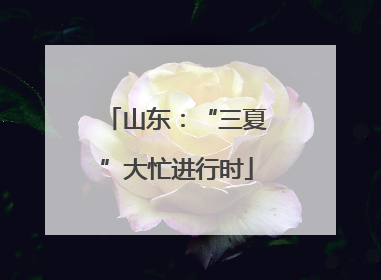 山东：“三夏”大忙进行时