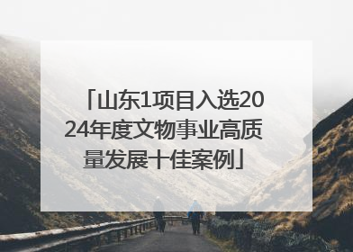 山东1项目入选2024年度文物事业高质量发展十佳案例