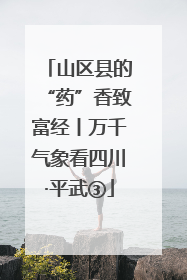 山区县的“药”香致富经丨万千气象看四川·平武③