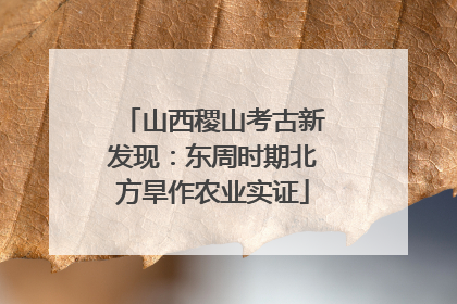 山西稷山考古新发现：东周时期北方旱作农业实证