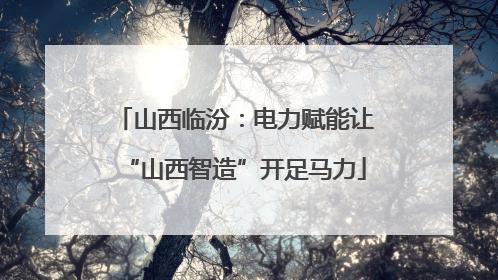 山西临汾：电力赋能让“山西智造”开足马力