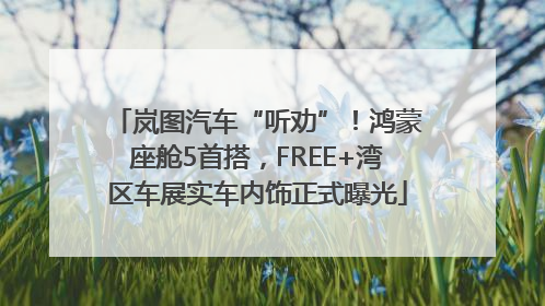 岚图汽车“听劝”！鸿蒙座舱5首搭，FREE+湾区车展实车内饰正式曝光