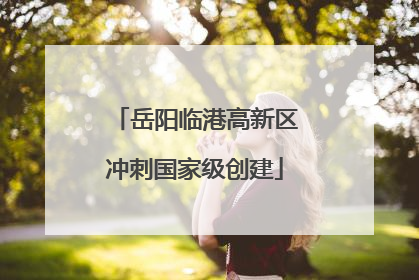 岳阳临港高新区冲刺国家级创建